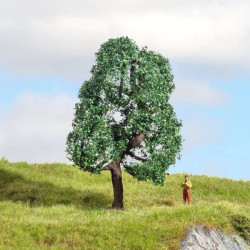 NOCH 20111 Dub / Dub - 10 cm