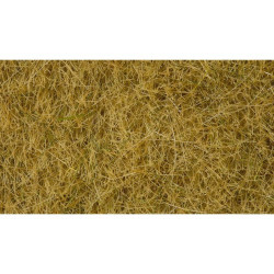 NOCH 07101 Wild Grass /...