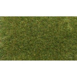 NOCH 07118 Wild Grass /...