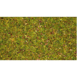 NOCH 08330 Scatter Grass...