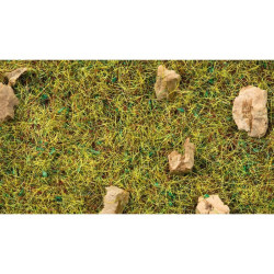 NOCH 08360 Scatter Grass...