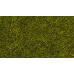 NOCH 07100 Wild Grass...