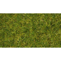 NOCH 07072 Master Grass...