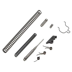 CZ Pakiet serwisowy do CZ SP-01 SERVICE  KIT-1 (011771)