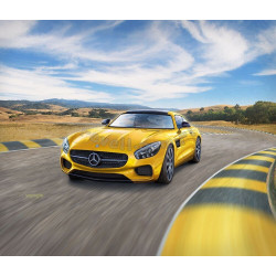 REVELL 1/24 MERCEDES AMG GT (07028)