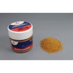 AMAZING ART FINE SAND...