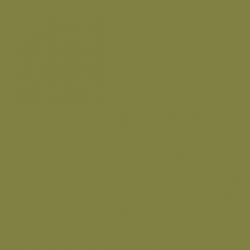 VALLEJO 079 MODEL COLOR GOLDEN OLIVE 17  ml (70857)