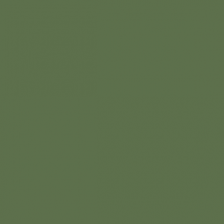 VALLEJO 080 MODEL COLOR GER.CAM.BRIGHT   GREEN 17 ml (70833)