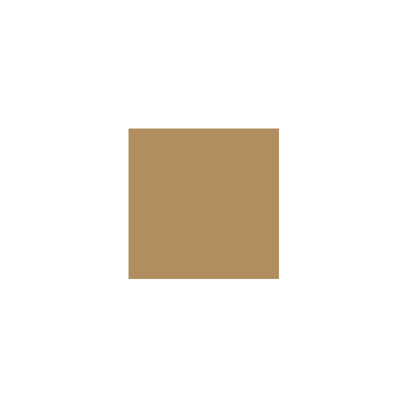 VALLEJO 119 MODEL COLOR GREEN OCHRE 17   ml (70914)