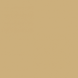 VALLEJO 120 MODEL COLOR BUFF (70976)