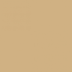 VALLEJO 123 MODEL COLOR DARK SAND (70847)
