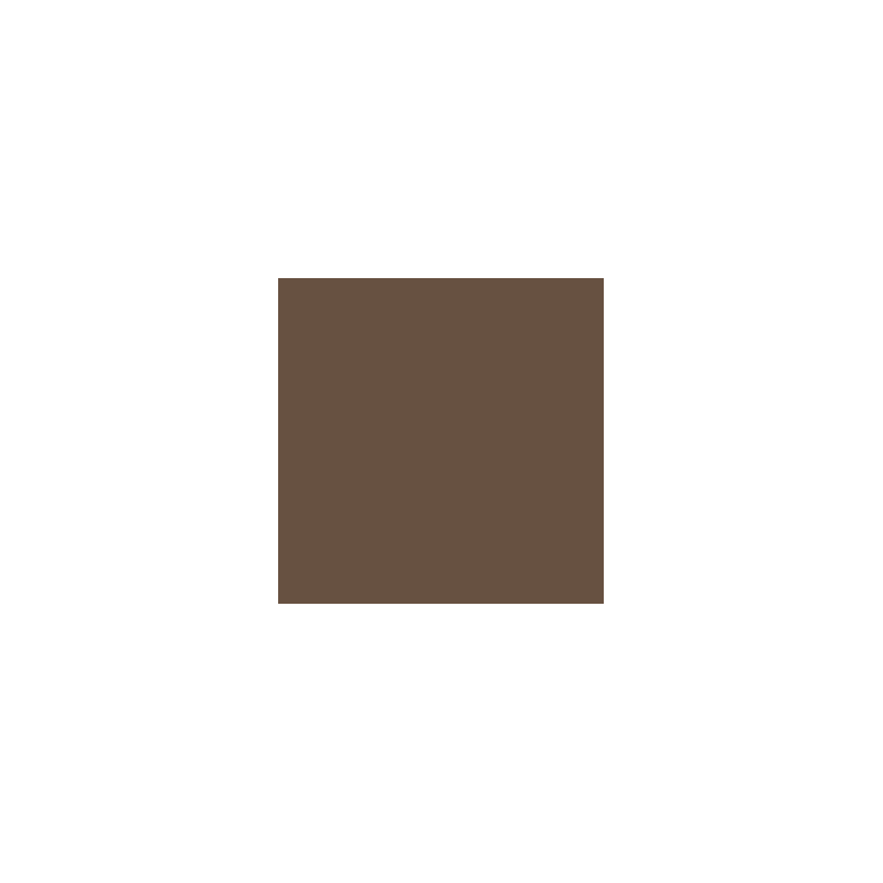 VALLEJO 148 MODEL COLOR BURNT UMBER (70941)
