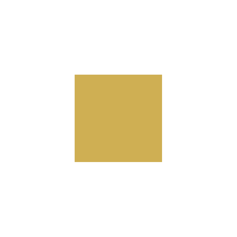 VALLEJO 172 MODEL COLOR GOLD (70996)