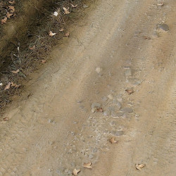 AK 8021 TERRAINS LIGHT EARTH 250ml