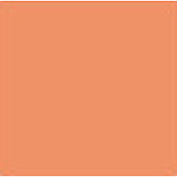 PACTRA FARBA A 61 SKIN TONE...