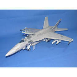 MODEL LETADLA F/A-18F SUPER HORNET (3/06)