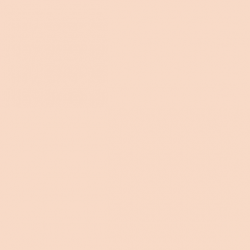 VALLEJO 006 MODEL COLOR LIGHT FLESH 17   ml (70928)